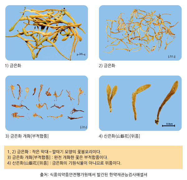 금은화 4개.jpg