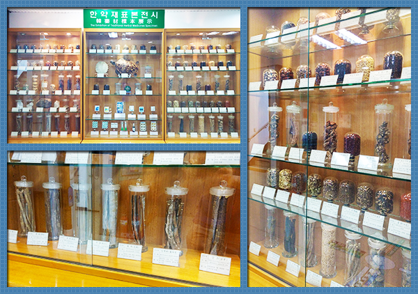 의국스토리 이민정 경희 신장내분비내과 한약재 2.jpg