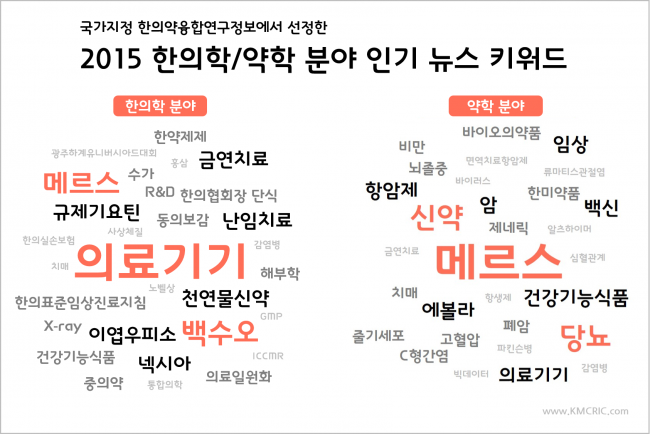 2015 뉴스키워드 TOP10.png