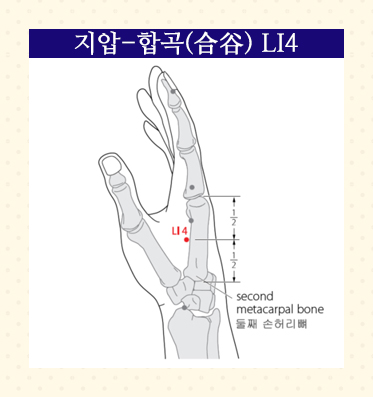 SMY35-02 (합곡).jpg