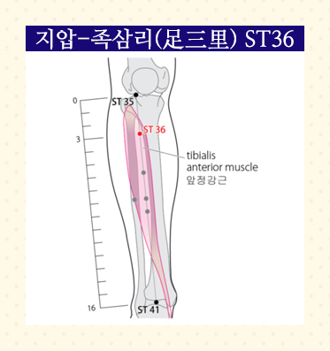 SMY36-02 (족삼리).jpg