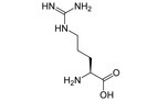 Arginine.jpg