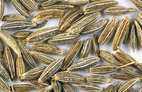 Cumin.jpg