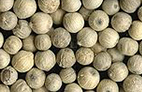 White pepper 백후추.jpg