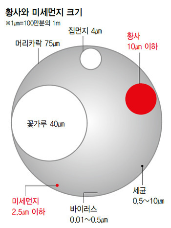 황사와_미세먼지_크기_비교.jpg