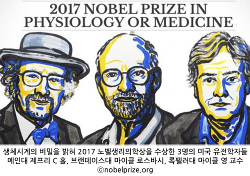 2017노벨상 1.jpg