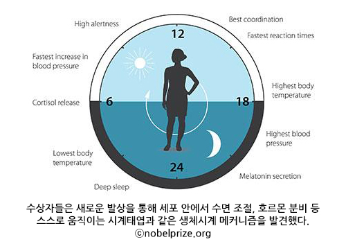 2017노벨상 2.jpg