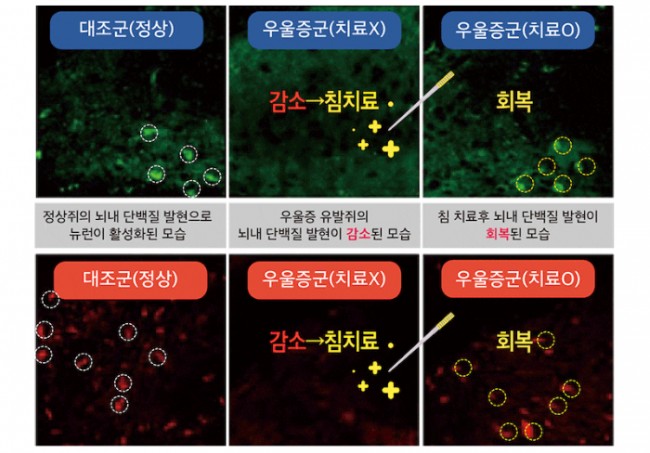 사진03.jpg