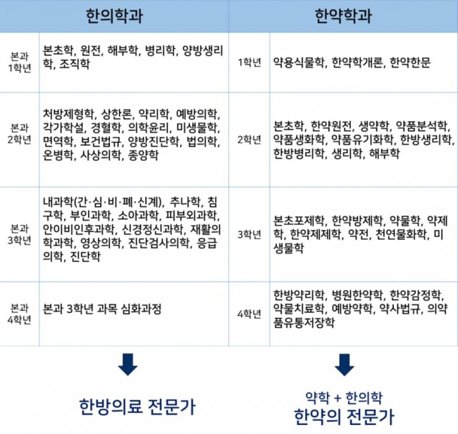 한의학 vs 한약학.jpg