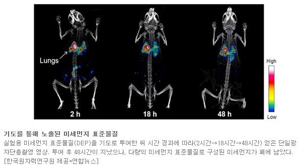 미세먼지 01.jpg