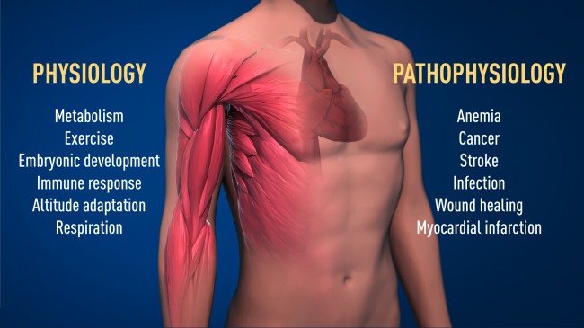 press-medicine2019-figure2.jpg