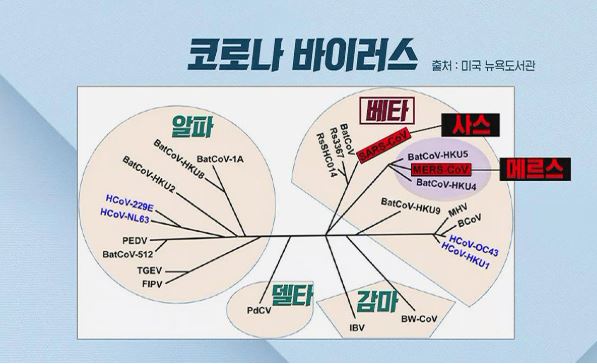 캡처-코로나바이러스.JPG