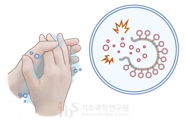 손싰기.jpg