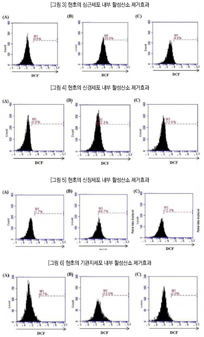 현초 그래프2.jpg