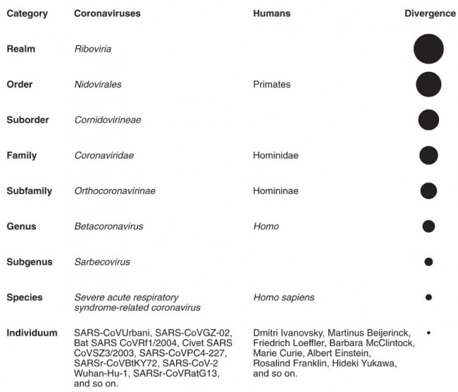 figure 1_1.JPG