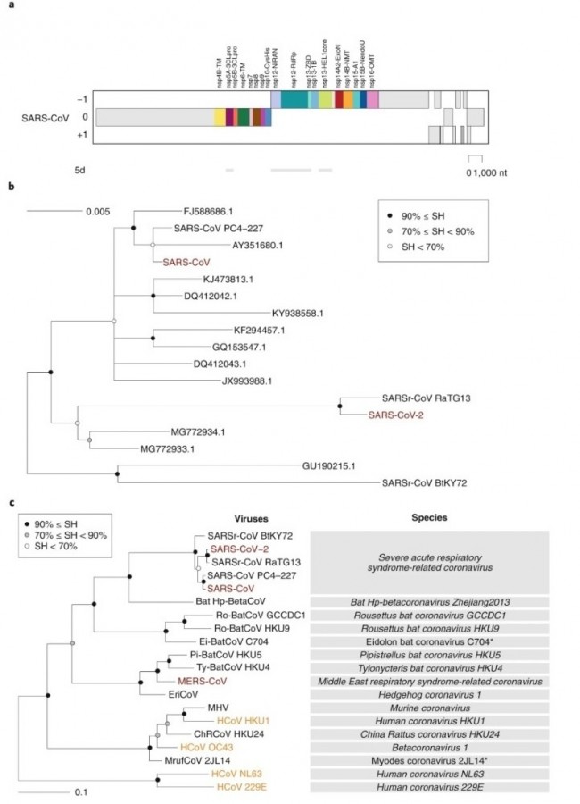 figure 2-1.jpg