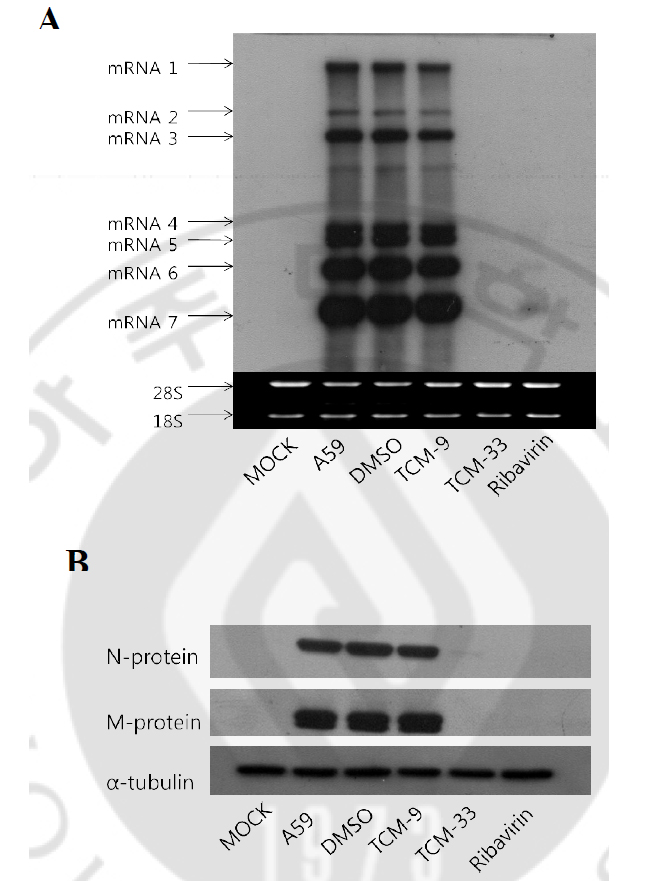 fig4.jpg