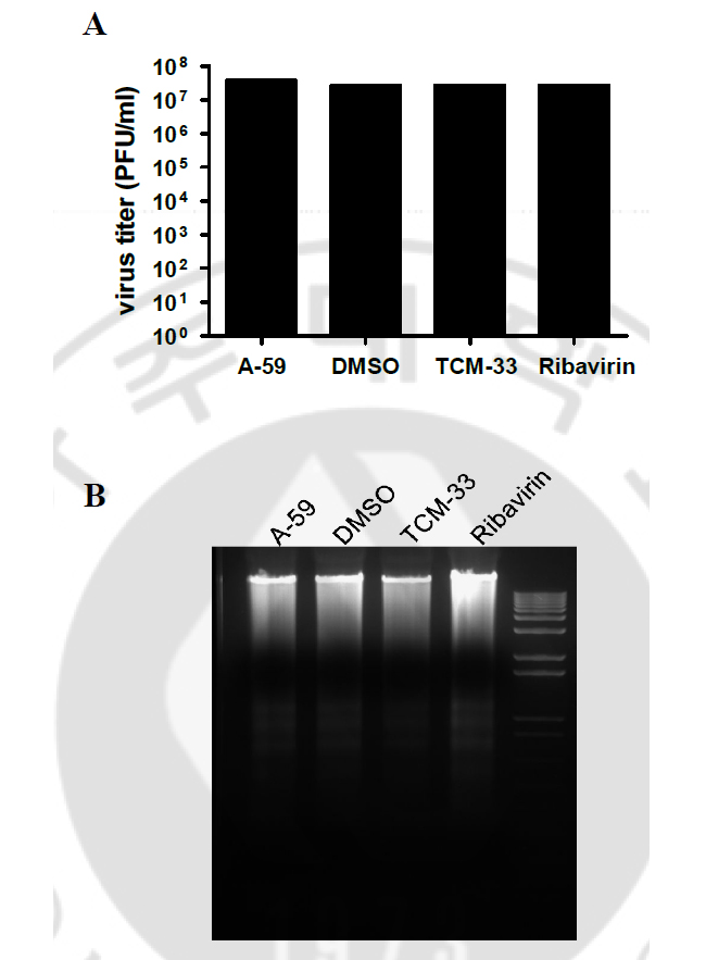 fig6.jpg