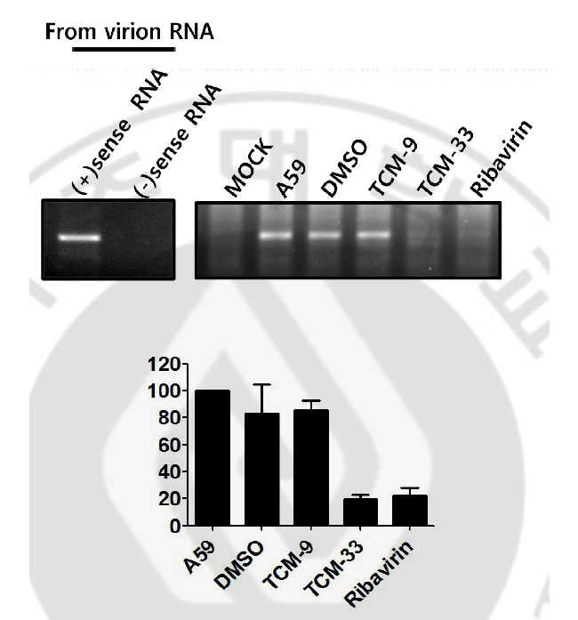 fig7.jpg