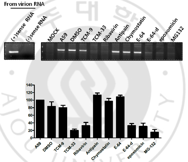 fig9.jpg