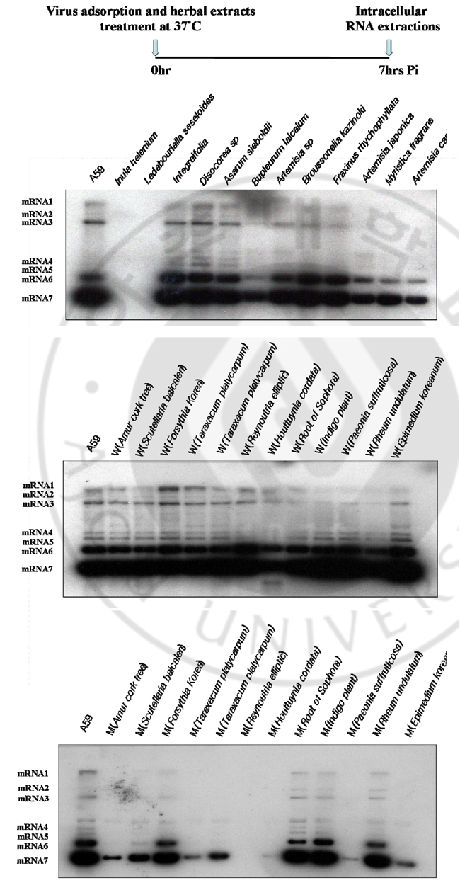 fig1.jpg