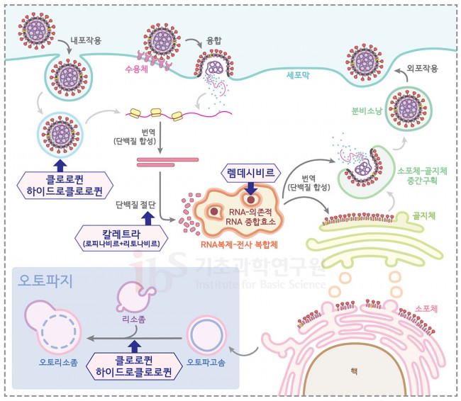 IBS vol12 2.jpg