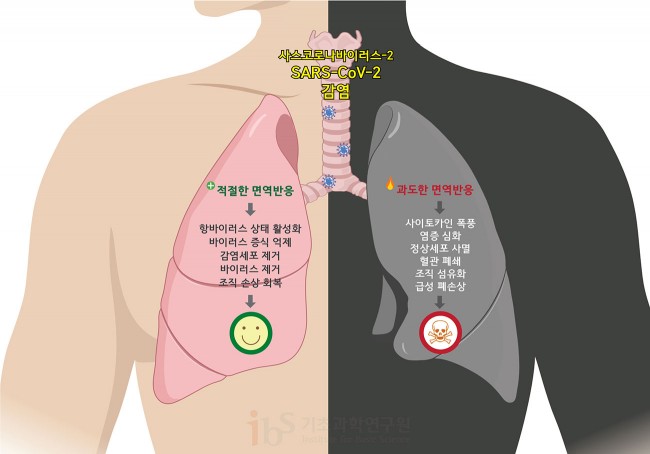 면역이다하2.jpg