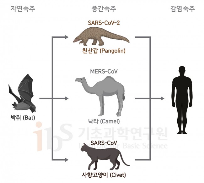사진2.jpg