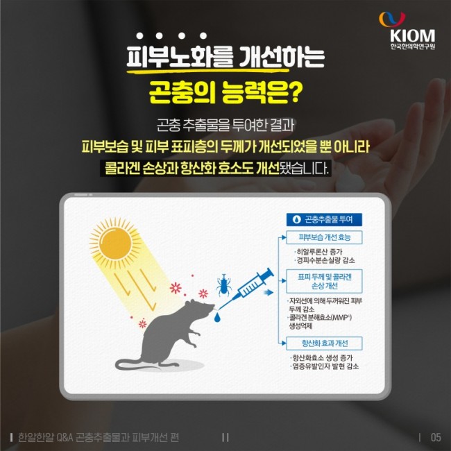 한알한알-곤충추출물과_피부노화개선-05.jpg