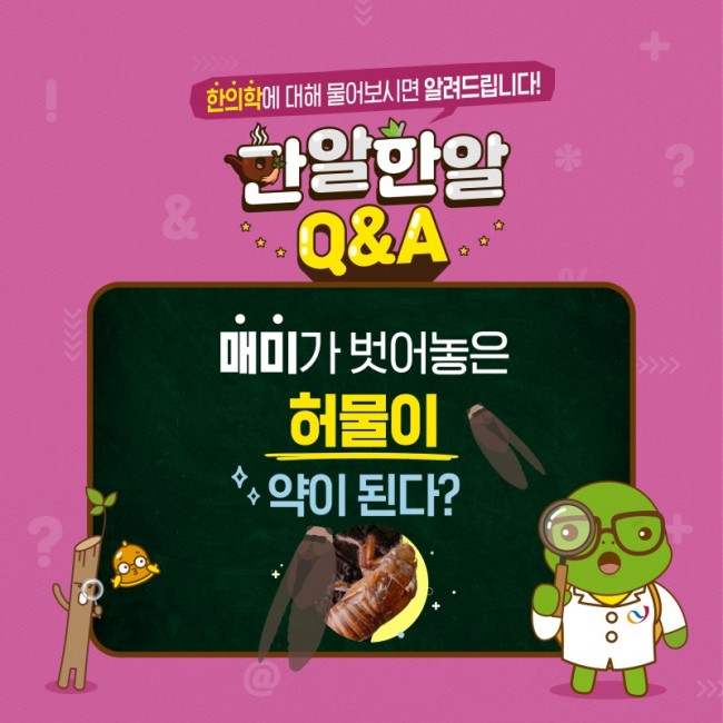 한알한알-매미가_벗어놓은_허물이_약이_된다-2차-01.jpg