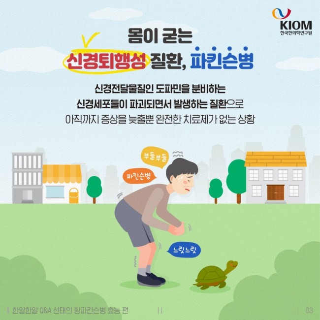 한알한알-매미가_벗어놓은_허물이_약이_된다-2차-03.jpg