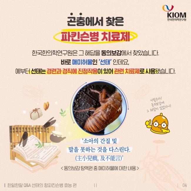 한알한알-매미가_벗어놓은_허물이_약이_된다-2차-04.jpg