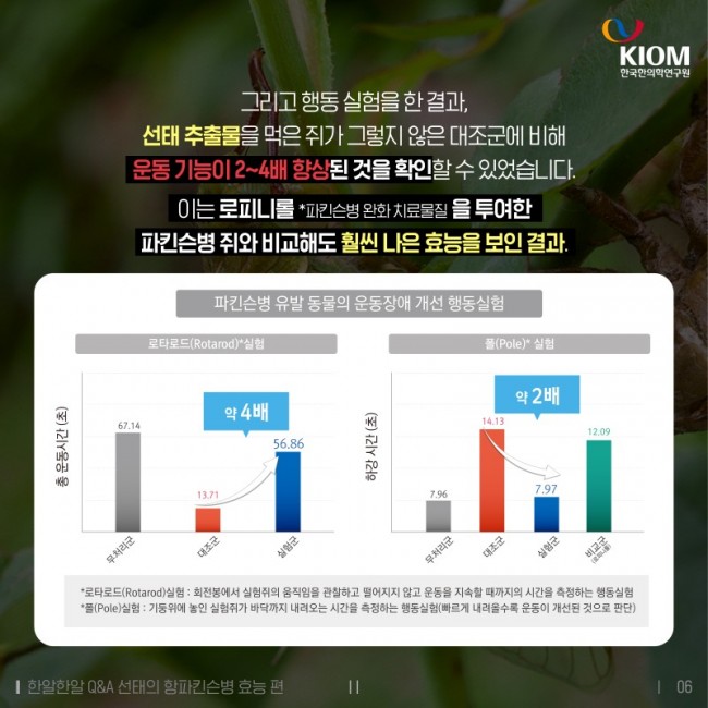 한알한알-매미가_벗어놓은_허물이_약이_된다-2차-06.jpg