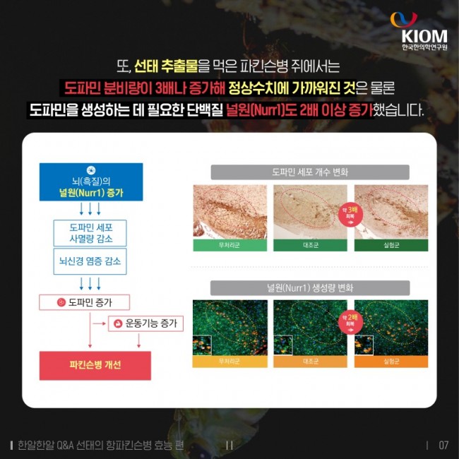 한알한알-매미가_벗어놓은_허물이_약이_된다-2차-07.jpg