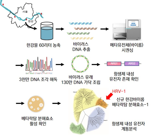 18 항생제 1.png