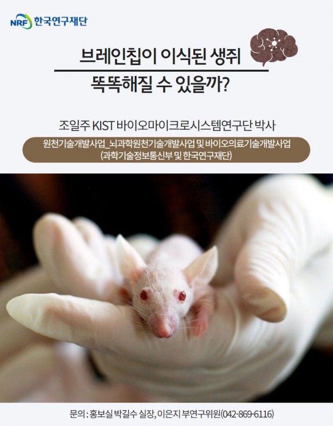브레인칩1.jpg