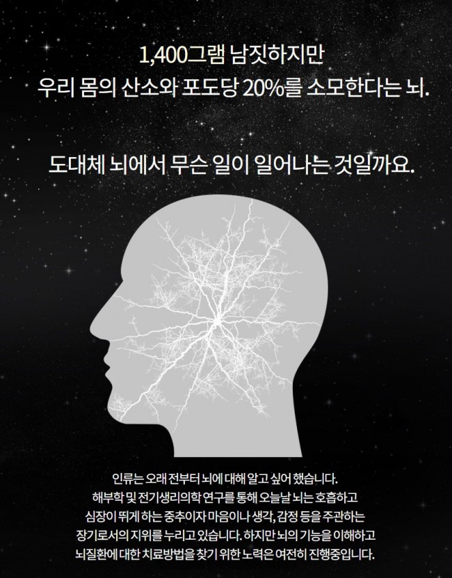 브레인칩2.jpg