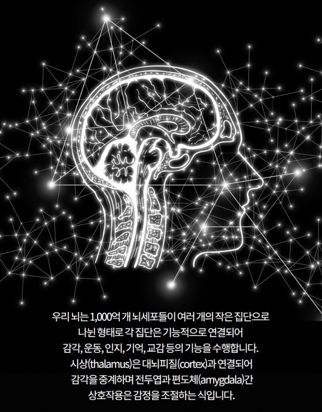 브레인칩3.jpg