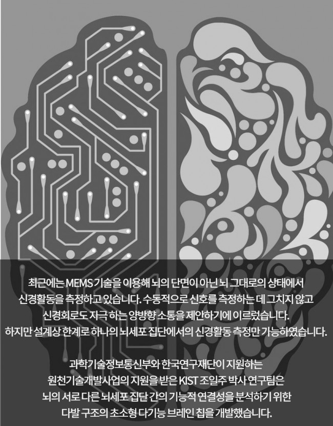 브레인칩5.jpg