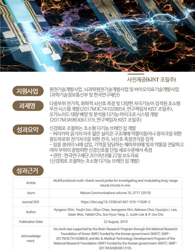 브레인칩9.jpg