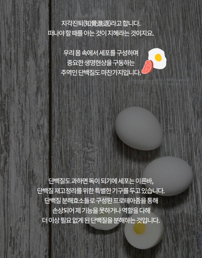 치매2.jpg