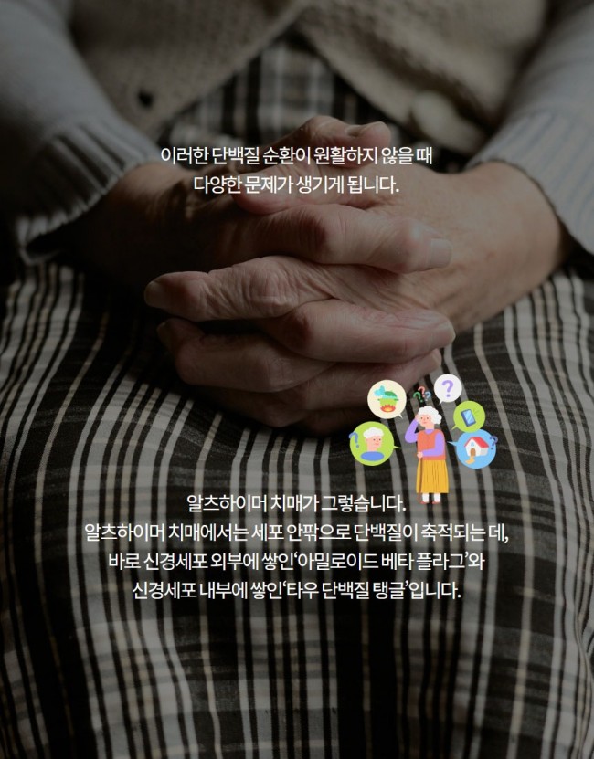치매3.jpg
