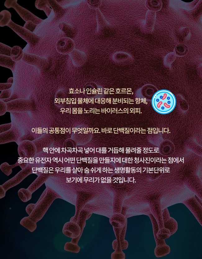 아미노산2.jpg