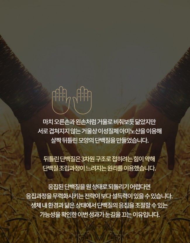 아미노산5.jpg