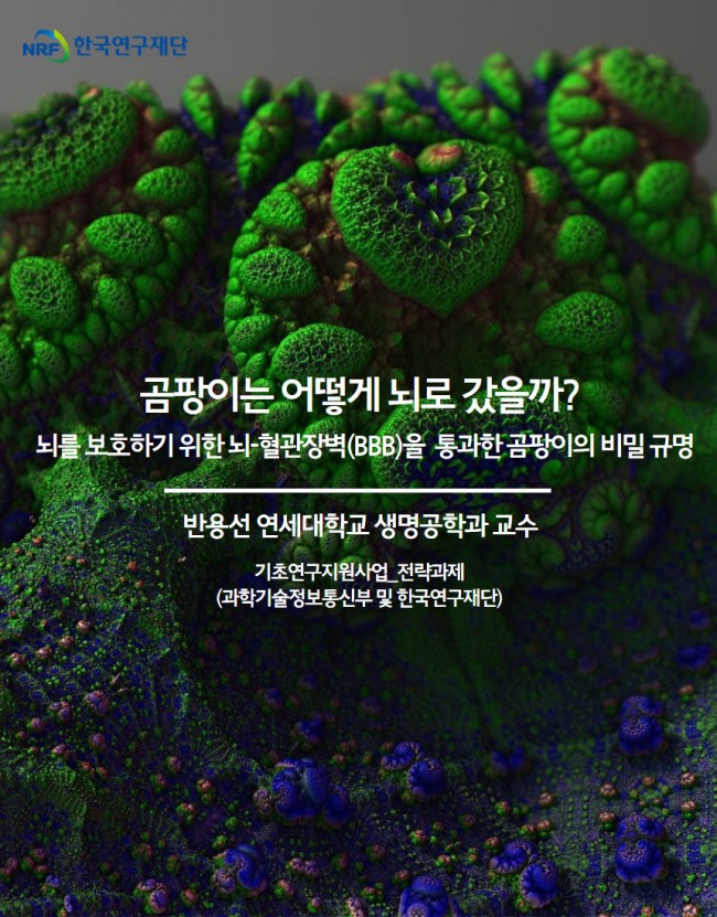 곰팡이1.jpg