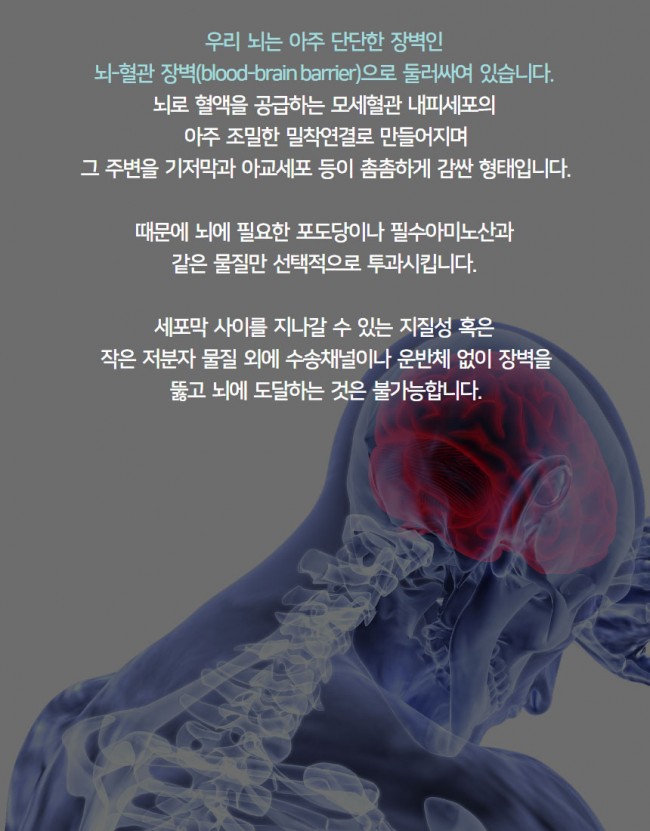 곰팡이3.jpg