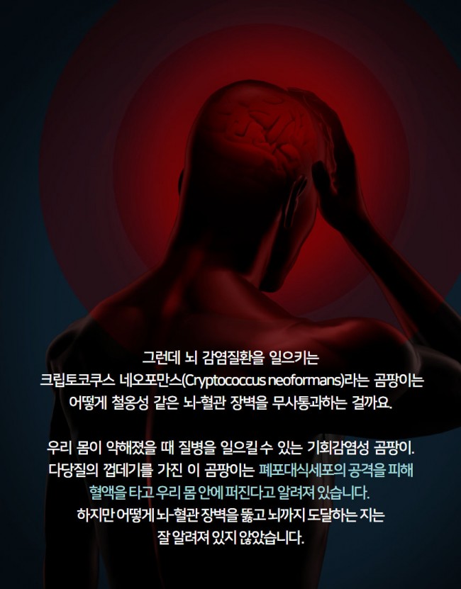 곰팡이4.jpg