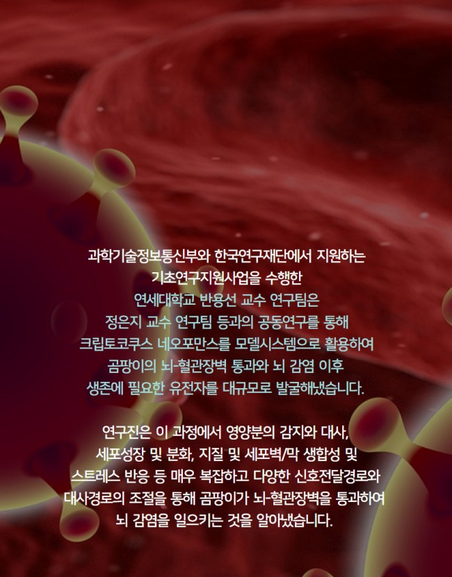 곰팡이5.jpg