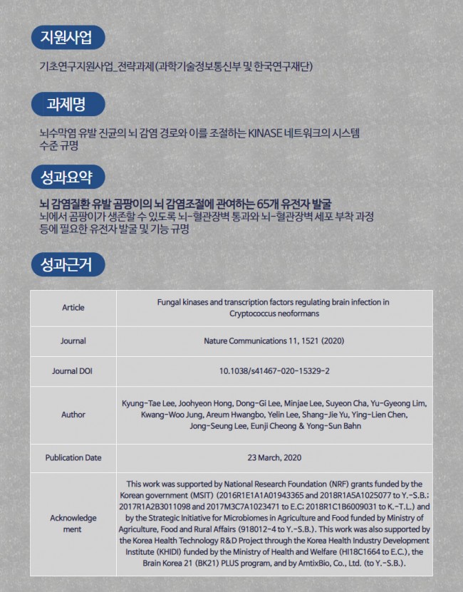 곰팡이10.jpg