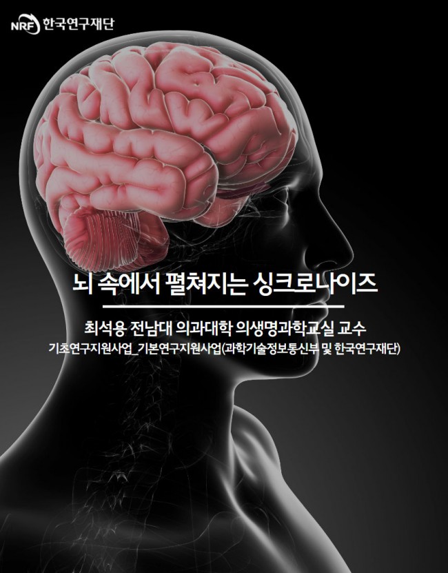뇌1.jpg